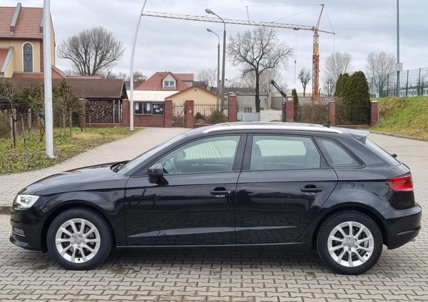 Audi A3 cena 41900 przebieg: 240800, rok produkcji 2013 z Żary małe 742